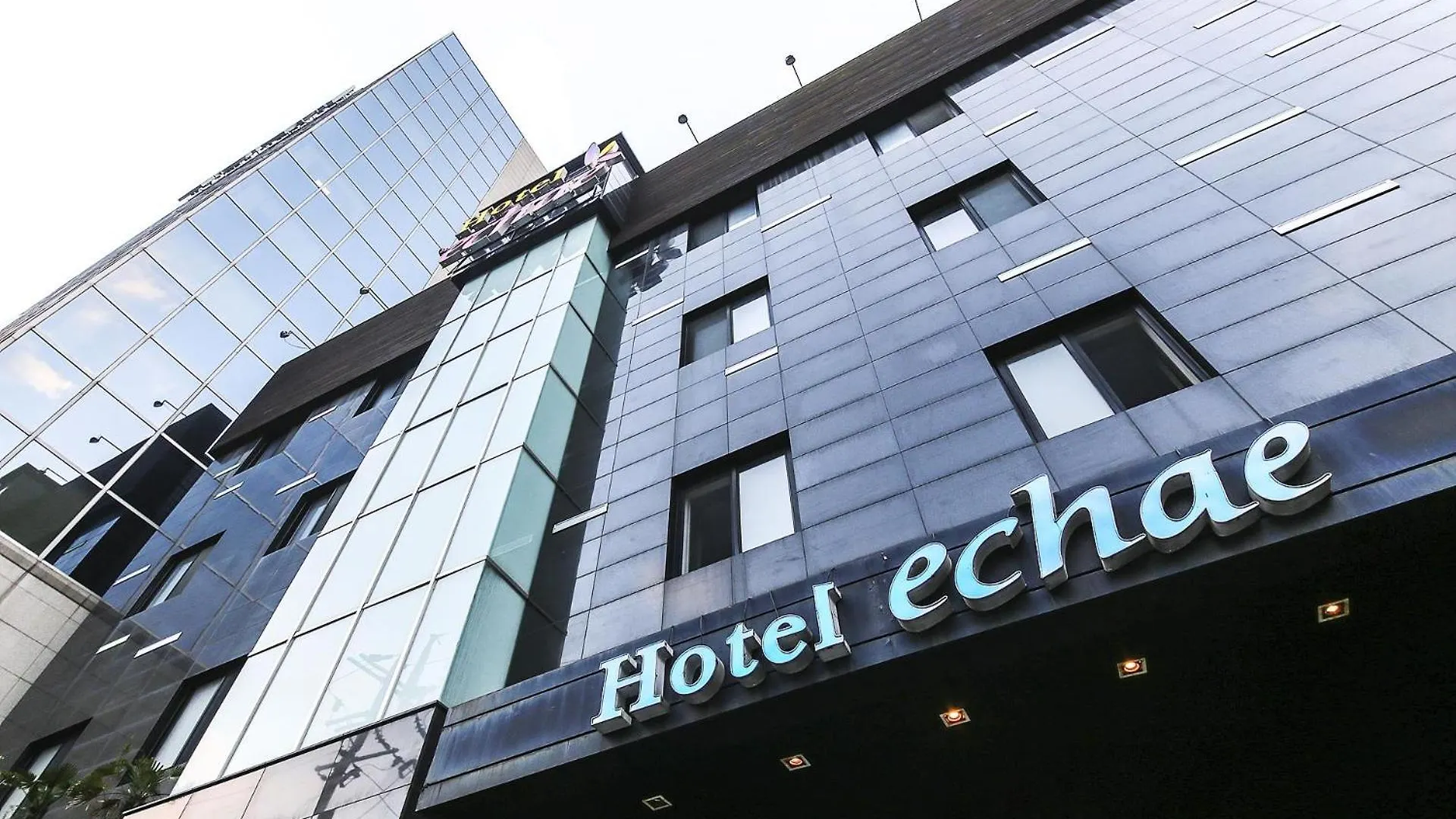 The Oreun Echae Hotel Jeju South Korea